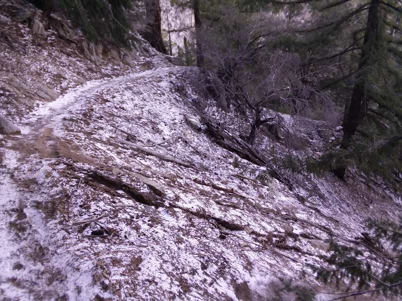 Snow! Shady spots up high were well covered